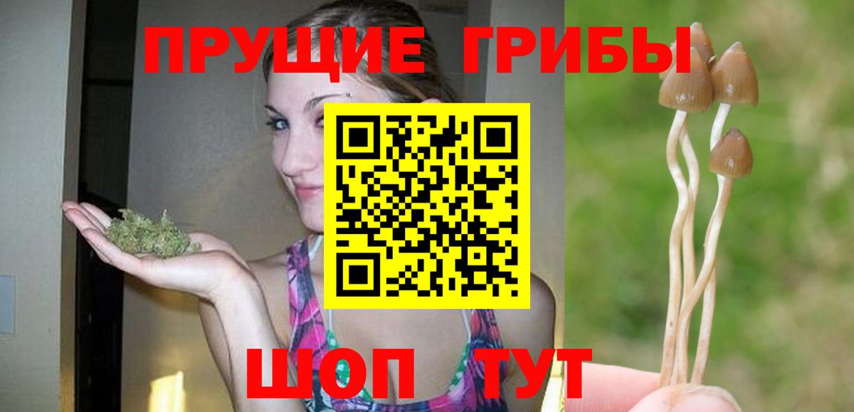 Галлюциногенные грибы MAGIC MUSHROOMS  Вход с VPN  Чебоксары 